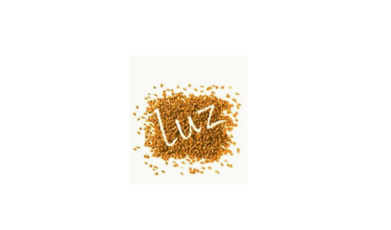 Lutz Mühle Lutz Mühle